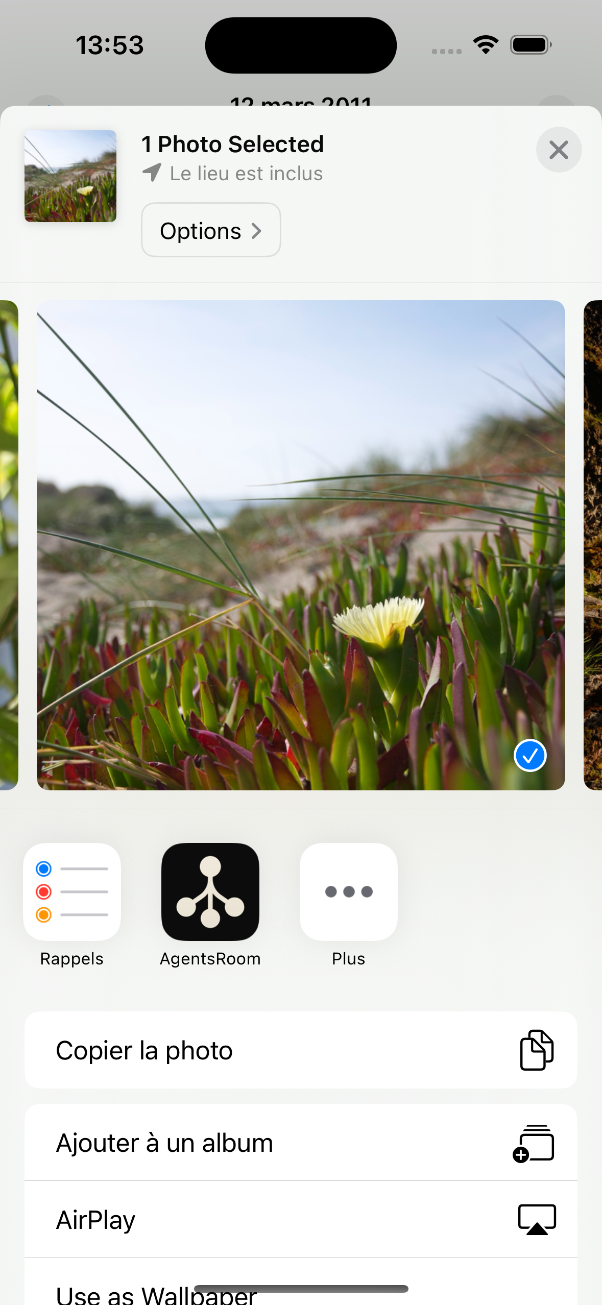 AgentsRoom erscheint im iOS-Share-Sheet als Share-Ziel beim Teilen eines Fotos, Share-Extension für KI-Coding-Agenten